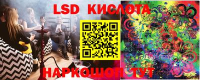 шишки Кинель