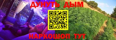 шишки Кинель