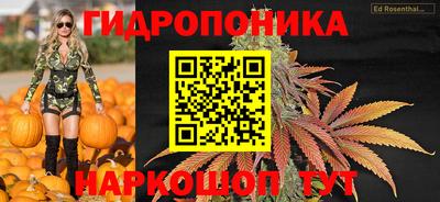марки nbome Кингисепп