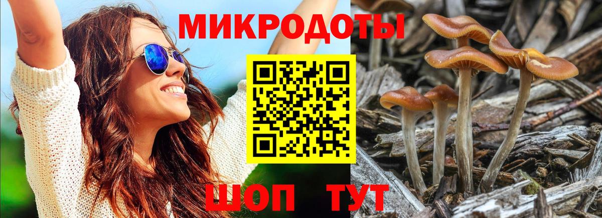 Псилоцибиновые грибы Magic Shrooms Краснодар