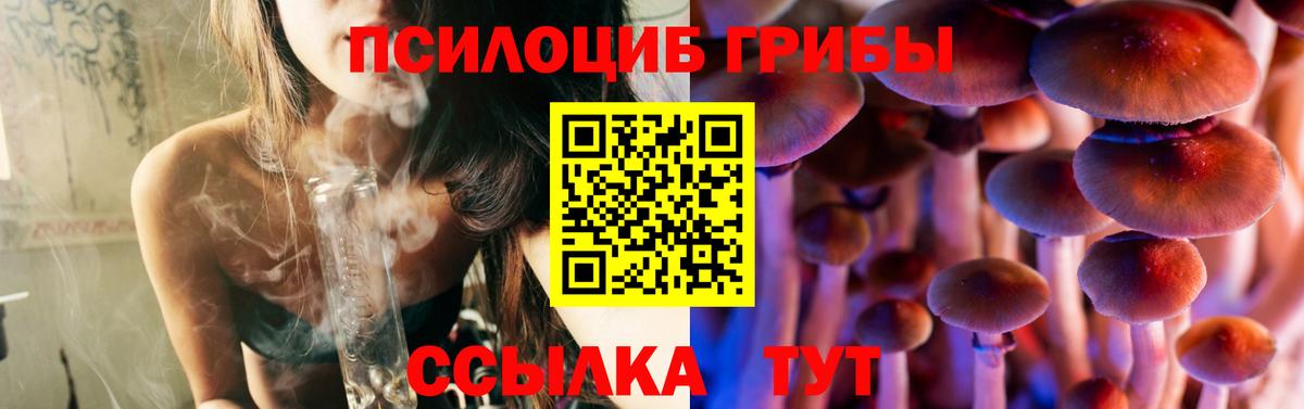 Краснодар  Псилоцибиновые грибы мицелий  Вход с VPN 